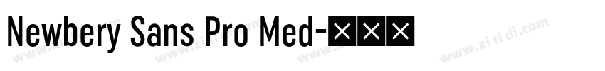 Newbery Sans Pro Med字体转换 Newbery Sans Pro Med字体转换